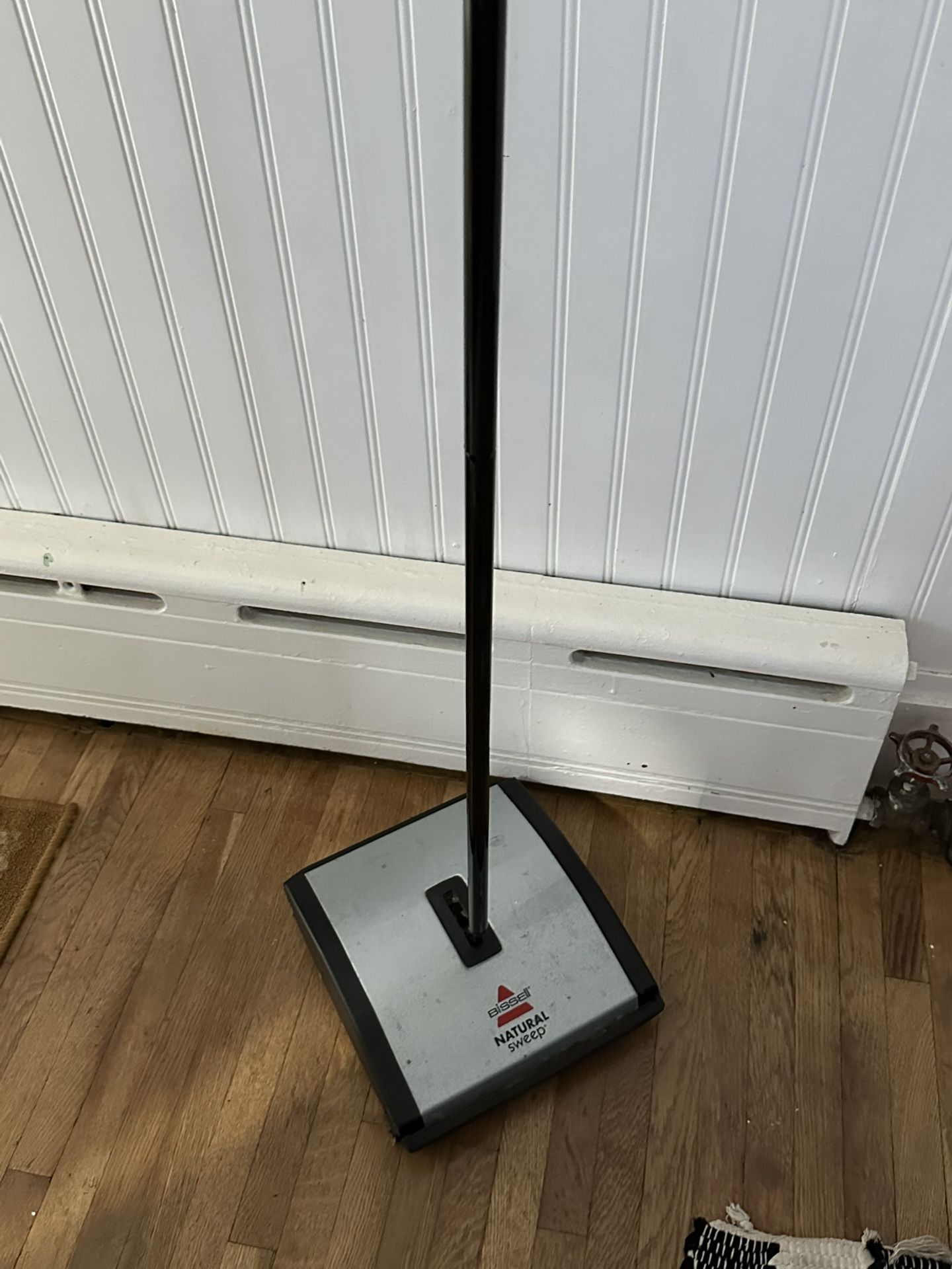 Bissell Sweep