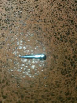 Titanium Dental Implant Bone Screw