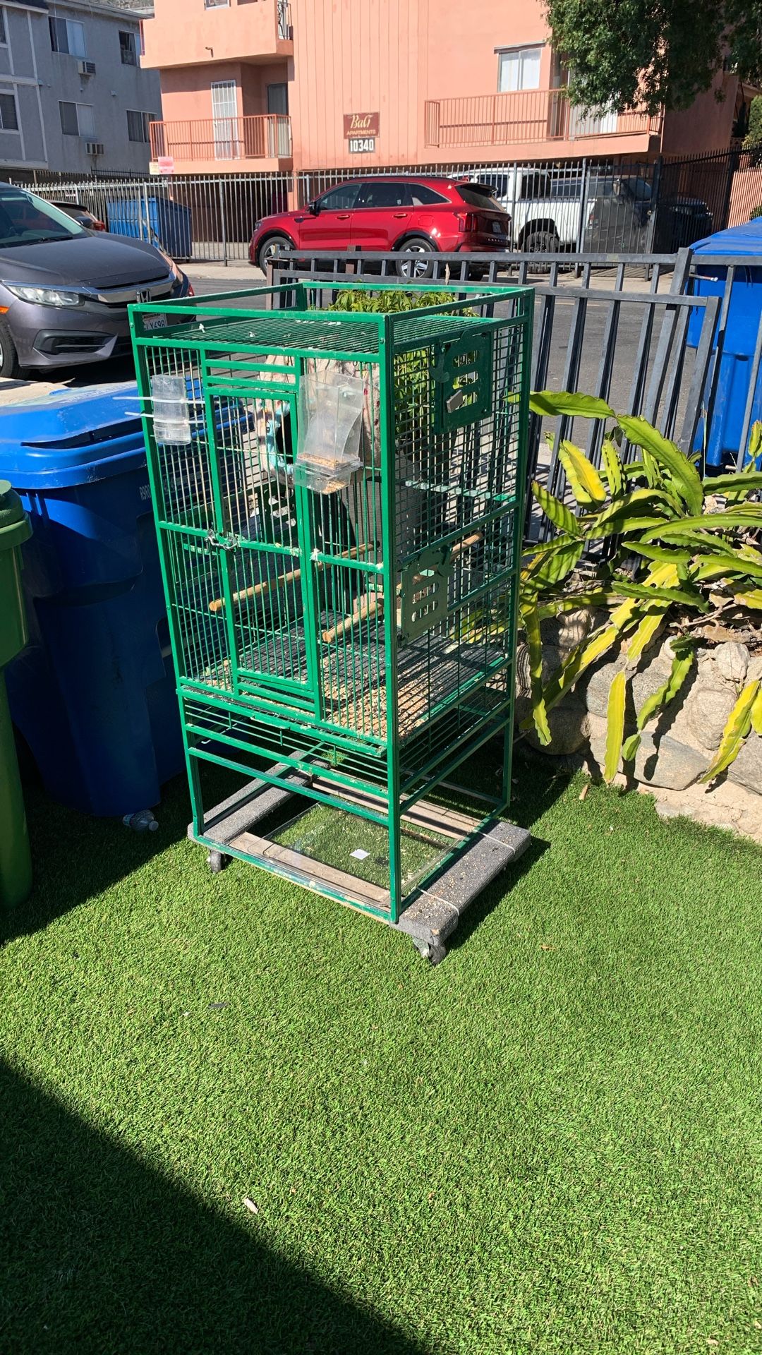 Cage For Big Bird 