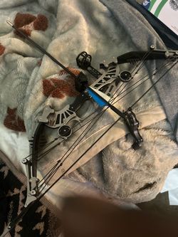 Compound Bow with Sight and Arrow Rest