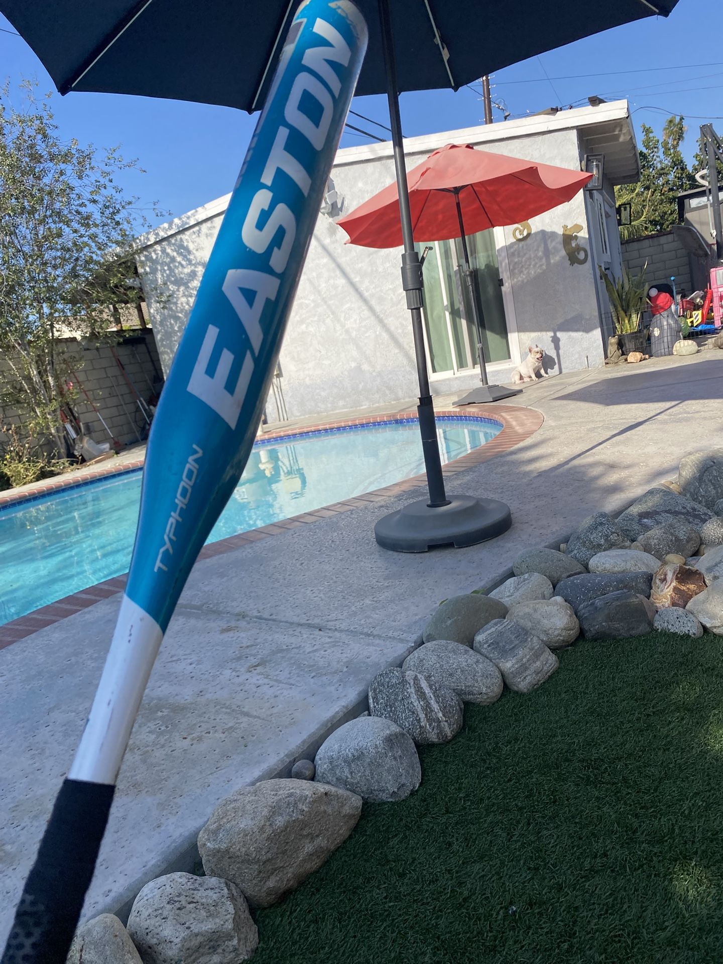 Eastern baseball bat