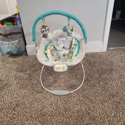 Baby Bouncer