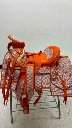 Montura charra súper bordada