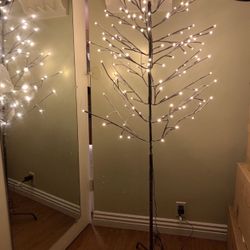 6 Feet Birch Tree (Romantic Valentine’s Day Gift 💝)
