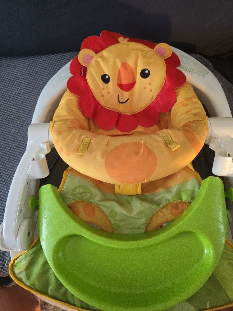 Fisher price set me up lion