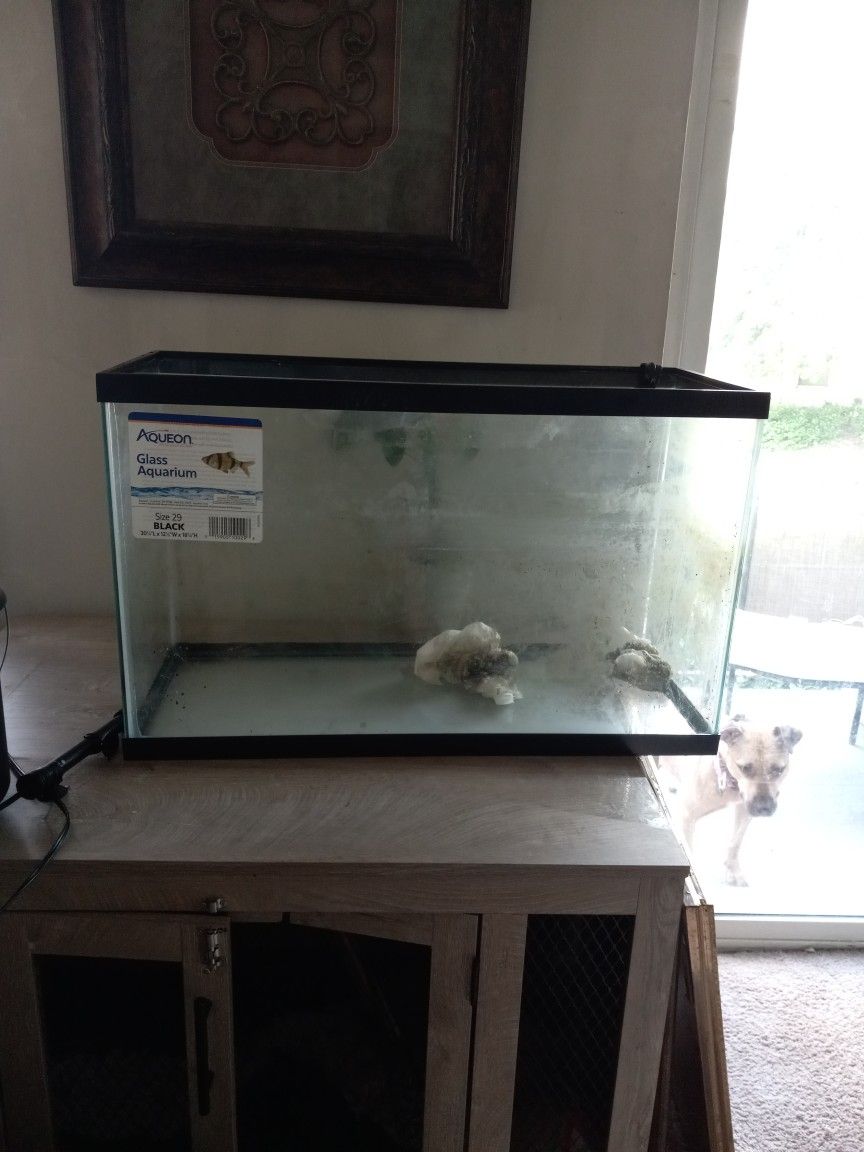 29 Gallon  Aquarium High Filter And Light Included