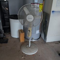 Tall Fan 