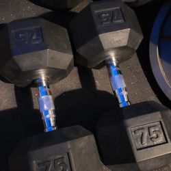 75lbs Dumbells Weights 