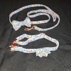 Dog Collar and Leash Sets