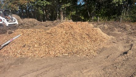 Wood chips