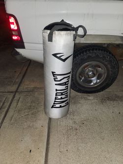 Everlasting punching bag