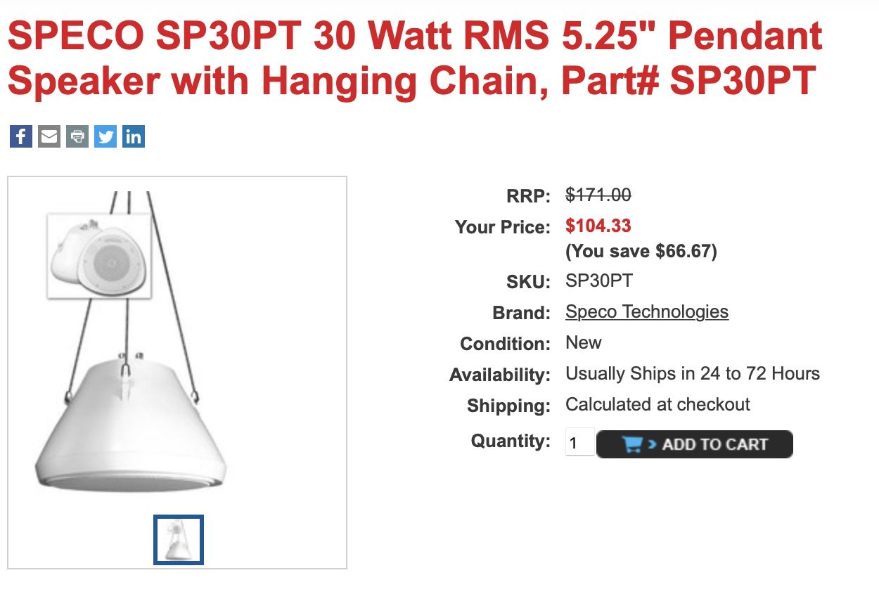 Speco 30Watt RMS 5.25" Pendant Speaker & Chain (White)