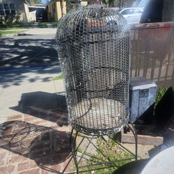 Bird Cage