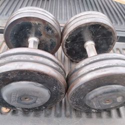 Pair Of 65 Lb Pro Style Dumbbells  W Hex Handle Grips- 130 Lbs Total Weights
