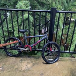 Pacific Bike 