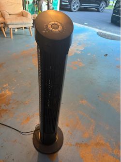 Fan