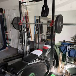 Work Out Set - Bench Press Weights Pull Up Curl Bar Mirror  