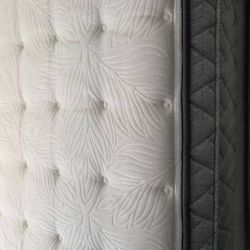 Sealy Queen Mattress Box Spring Bed 