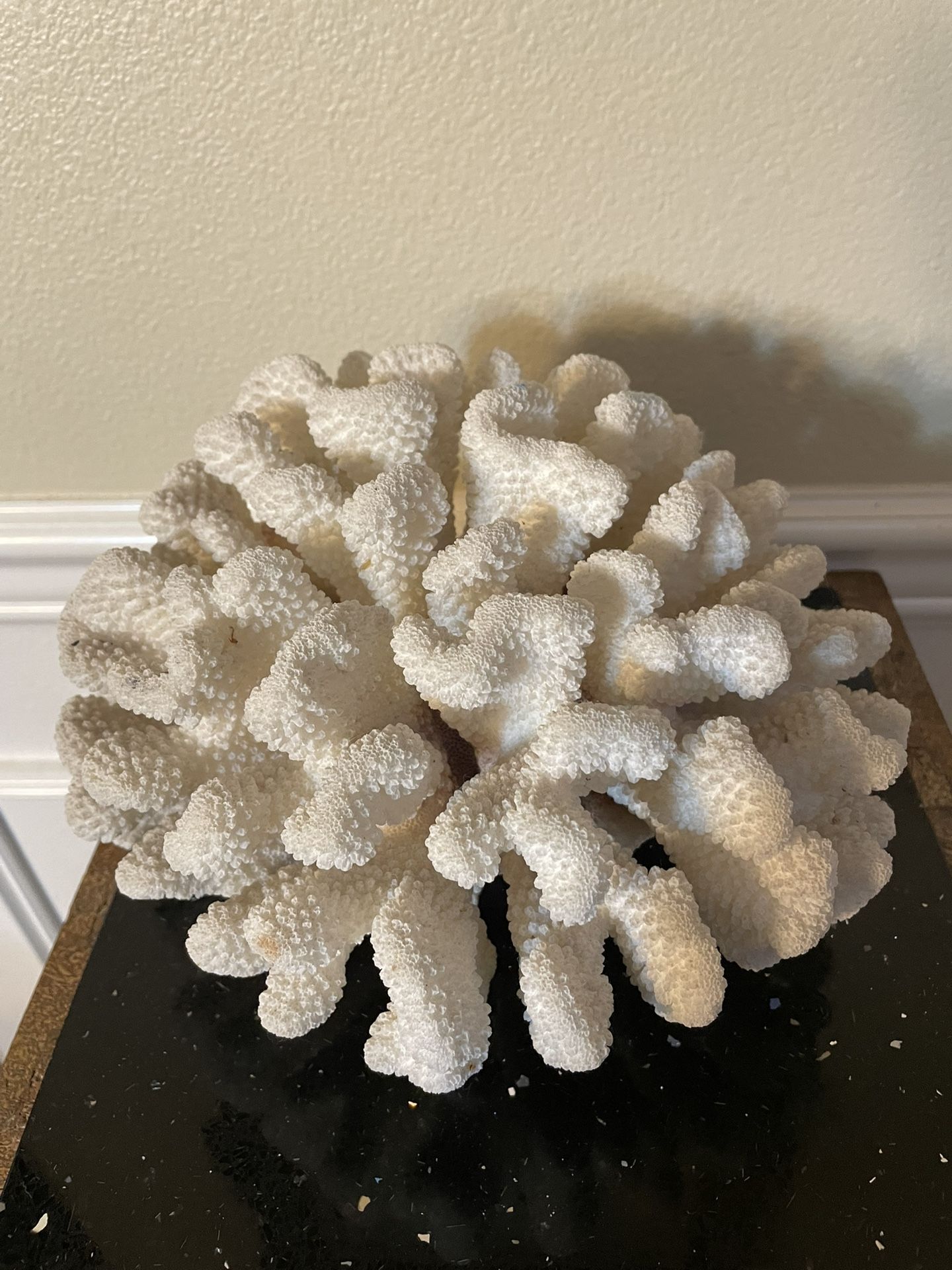 Large Real Coral 9” ,Natural White Coral Tree