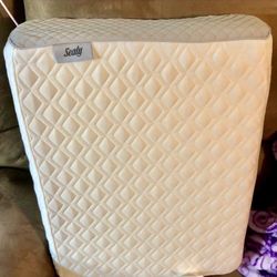 Sealy Contour Pillow