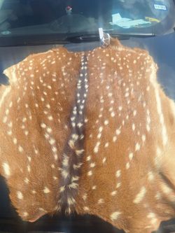 AXIS DEER HIDE