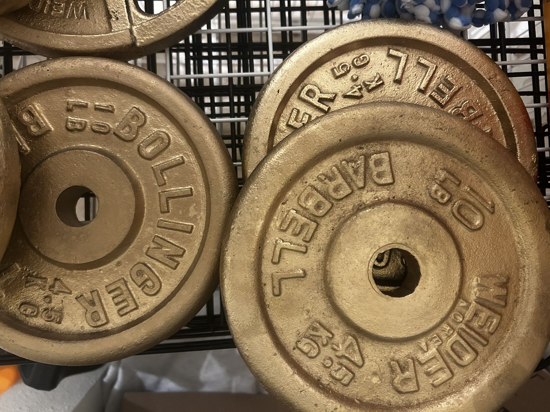 10IB Weight Plates