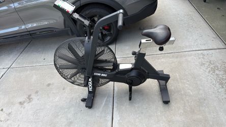 Rogue Echo Bike