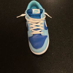 Nike Dunk Low Argon Used No Box Size 8.5