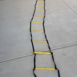 Skilz Ladder and cones 