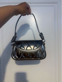 Metallic Purse