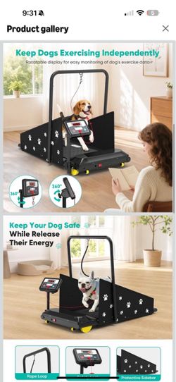 Dog Treadmill