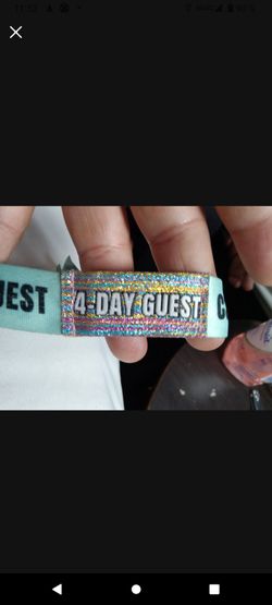 Lollapalooza C3 Guess Pass