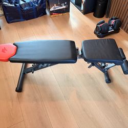 Two 50lb Adjustable Bowflex Dumbbells & Bench