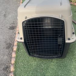 Dog  Carrrier