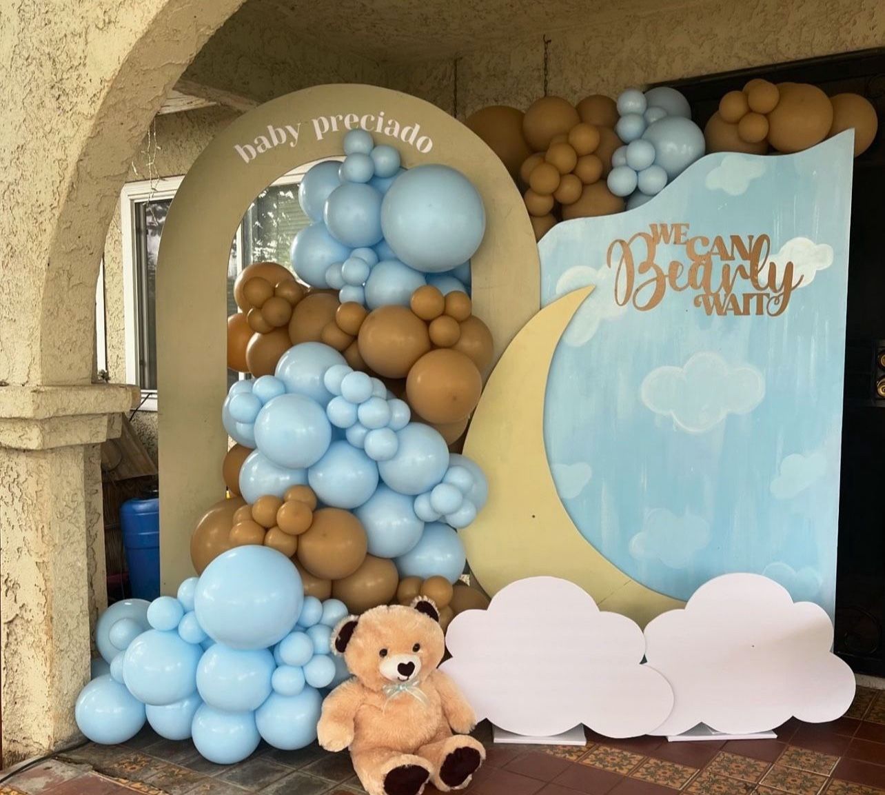 Baby shower Setups / Gender Reveal