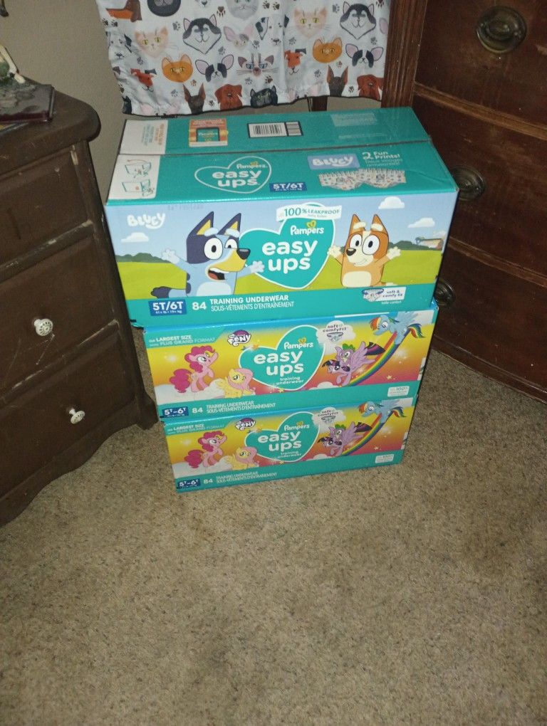 5T 60 Easy Ups 84 Count $20 A Case
