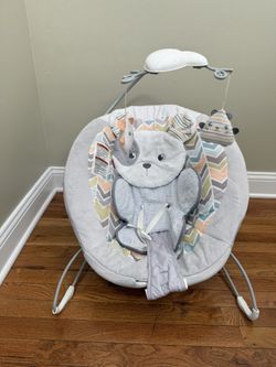 Baby Bouncer Seat 