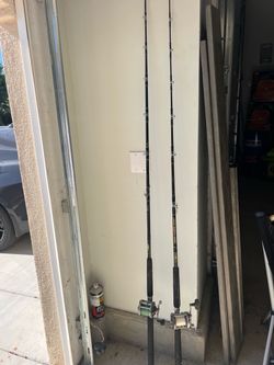 Set of 2 heavy-duty fishing rods with conventional reels