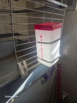 Guinea pig cage