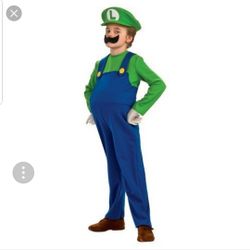 Luigi kids costume size 10/11