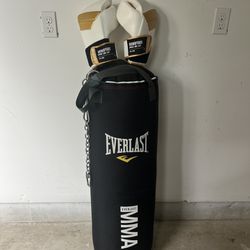 Everlast MMA Punching Bag and Gloves
