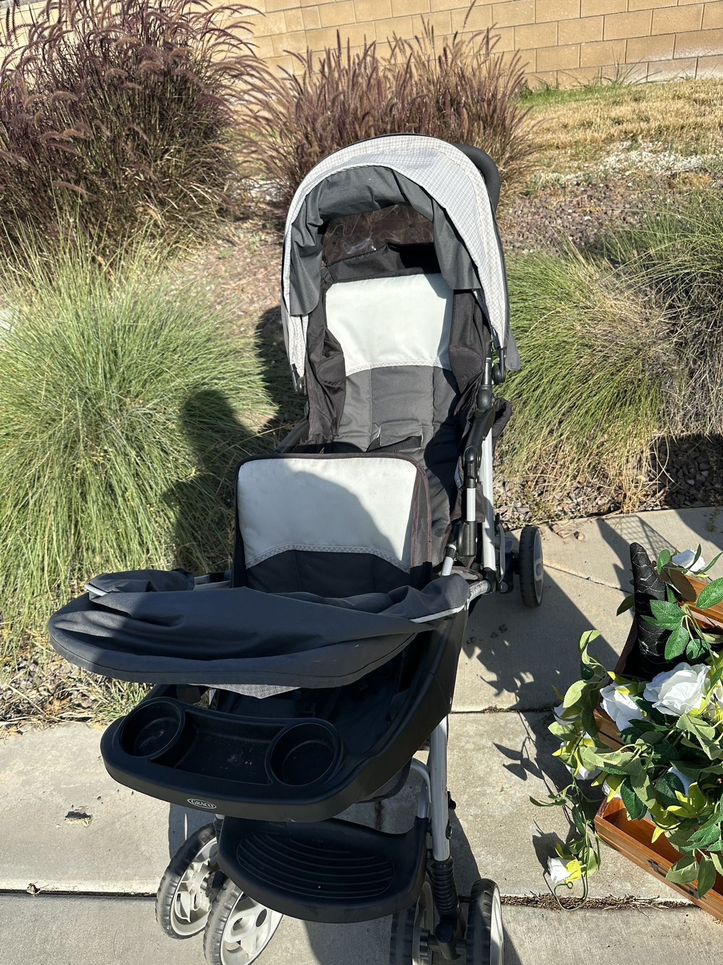Stroller,Carriola,Carriola Doble
