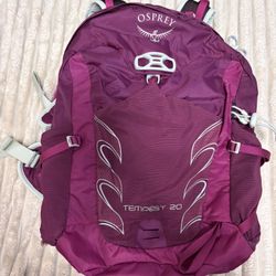 Osprey Hiking Backpack 