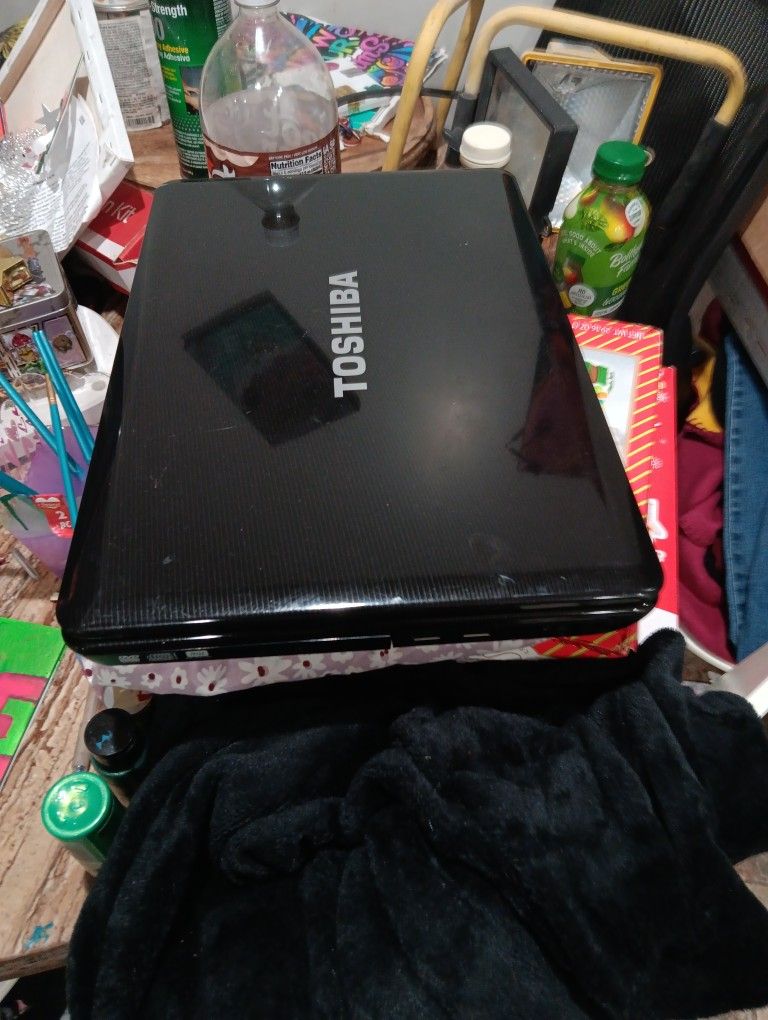 Toshiba Satalite Laptop