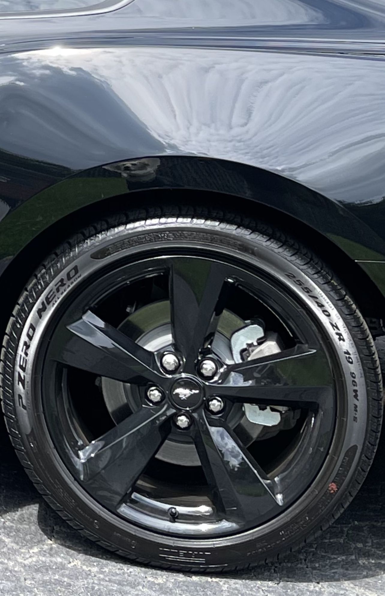 OEM Ford Mustang 19” Black Accent Wheels/Rims
