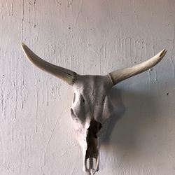 Skull Western Decor