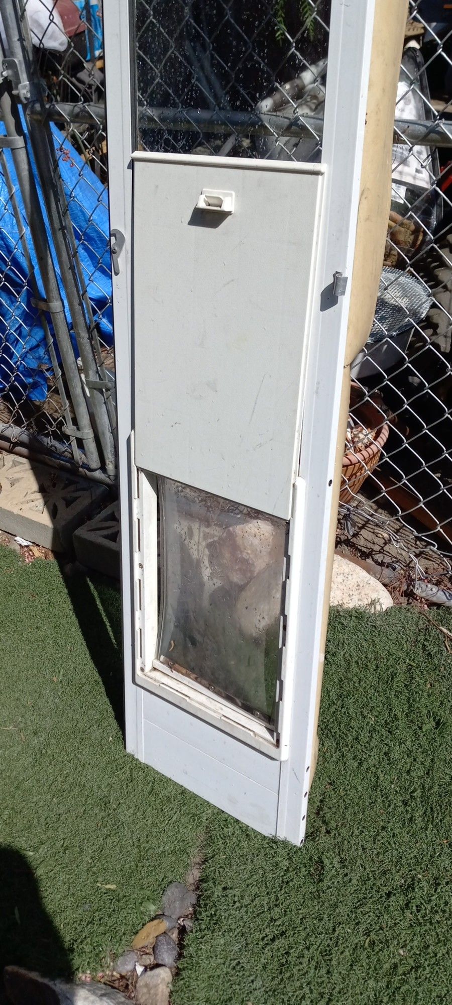 Doggy Door