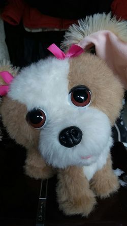 Cute little barking dog that pants as it hops around in a circle, just adorable!