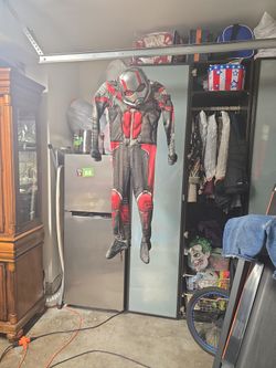 Ant MAN 🐜