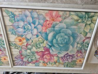 Bright Succulent Pictures